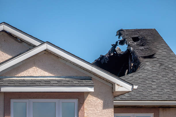 Licensed Odor Removal service in Belle Plaine, MN - Fire Damage Biloxi